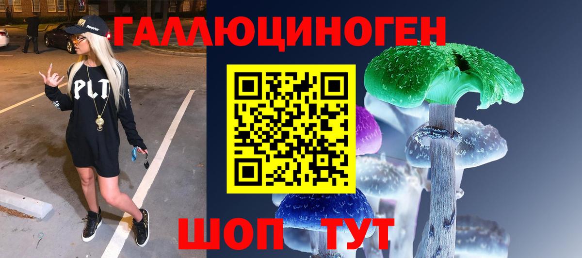 Сургут  Галлюциногенные грибы Psilocybine cubensis  Вход с VPN  Галлюциногенные грибы Psilocybe 